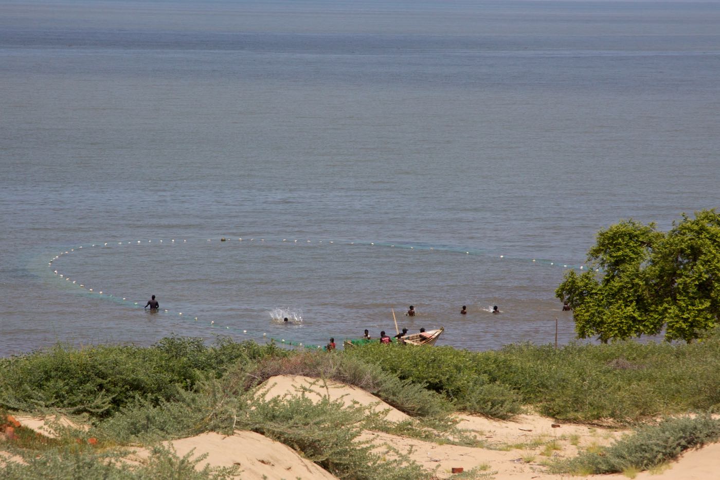 Catching fish in site